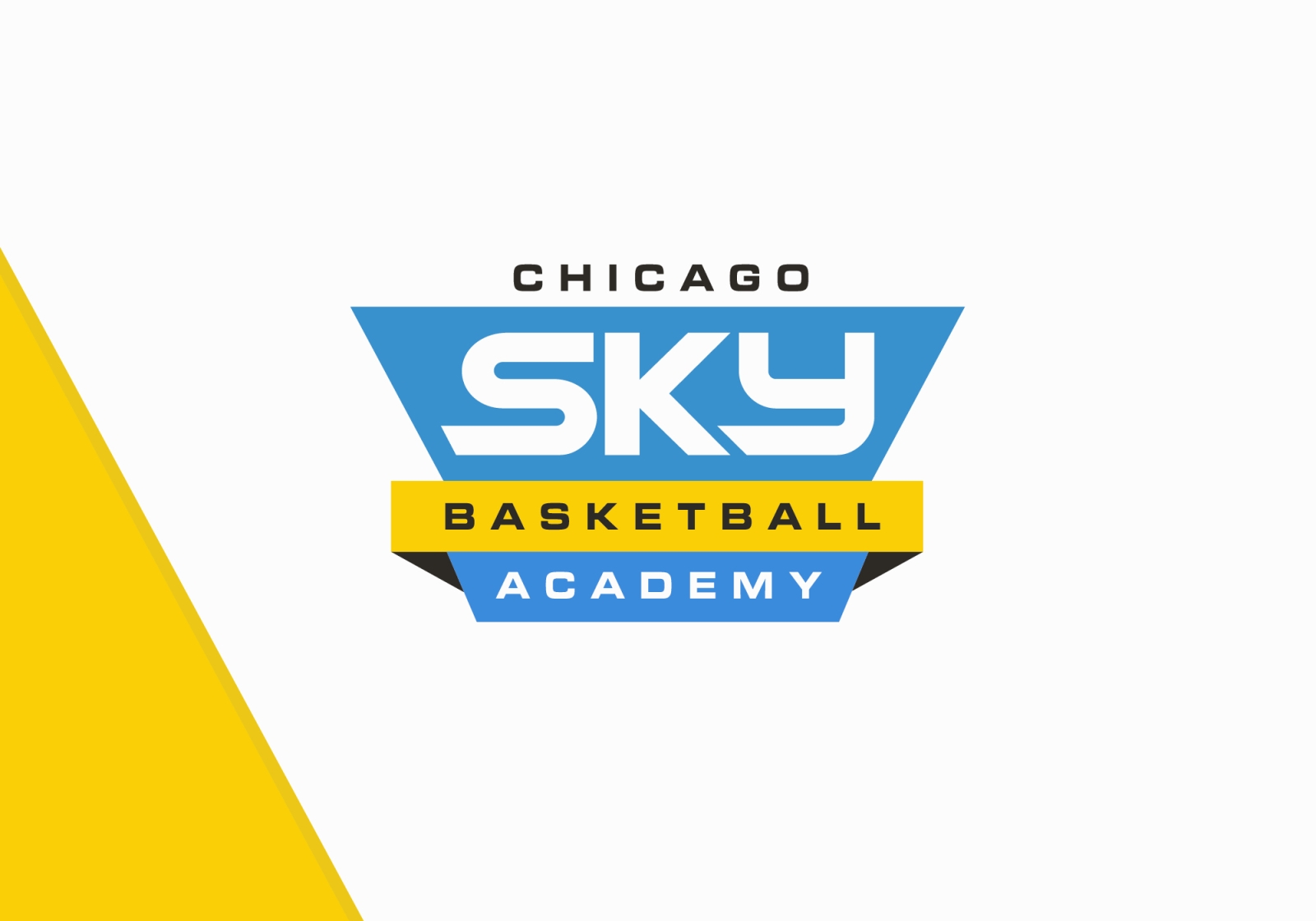 Chicago Sky Basketball Academy logo