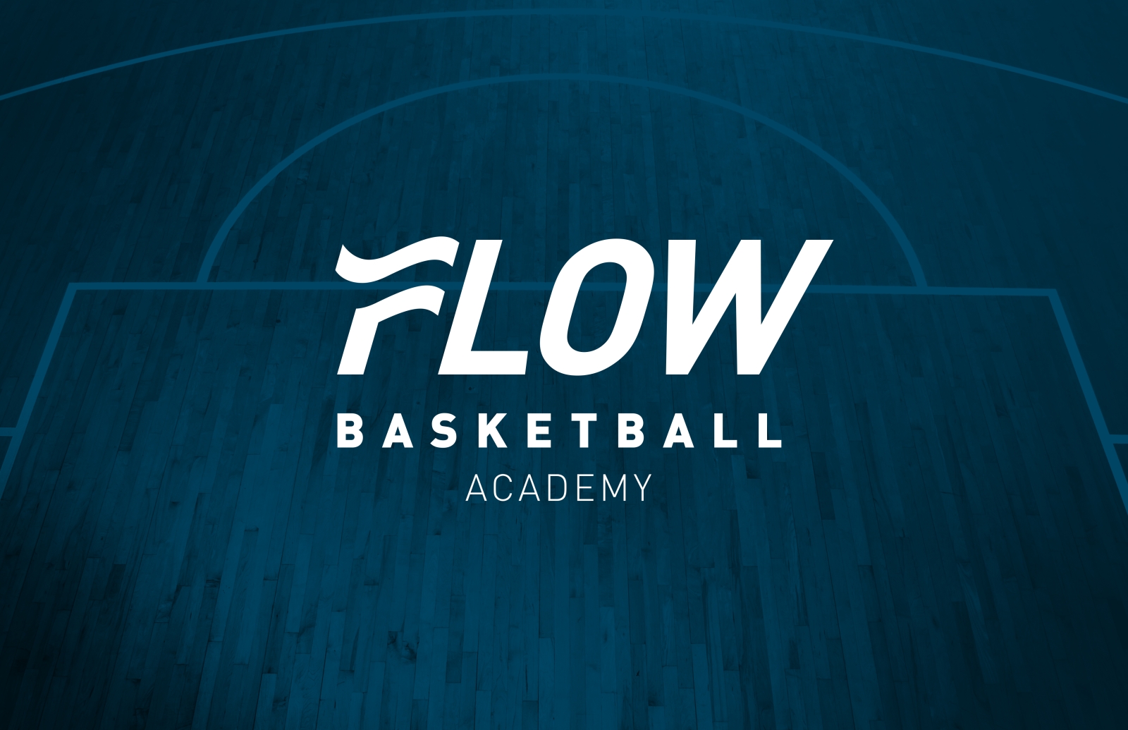 Flow Logo